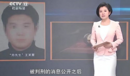 91老师直播,揭秘高效学习与成长之道